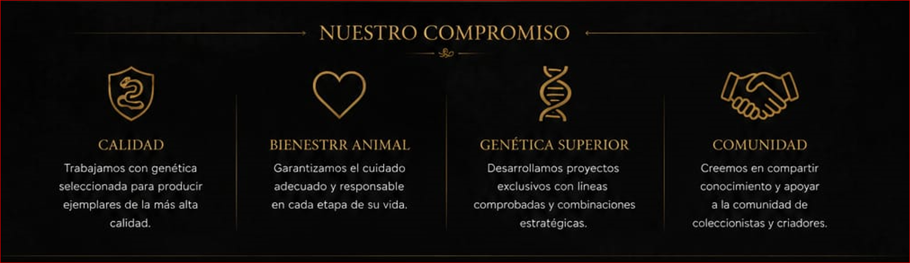 Nuestro Compromiso - Medusa Pythons