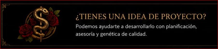 ¿Tienes una idea de proyecto?