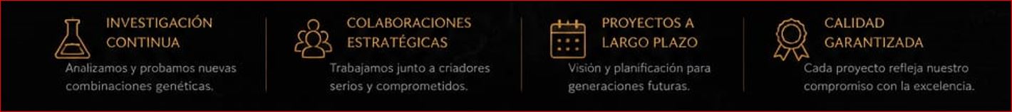 Medusa Pythons Proyecto 2